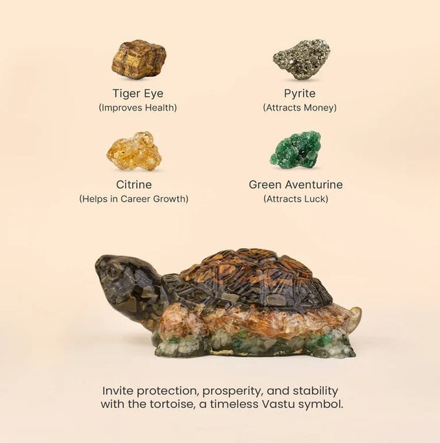 Rinmukteshwar Siddh Vastu Dhan Yog Tortoise – Energized Vastu Wealth Tortoise for Prosperity | Raso Crystal