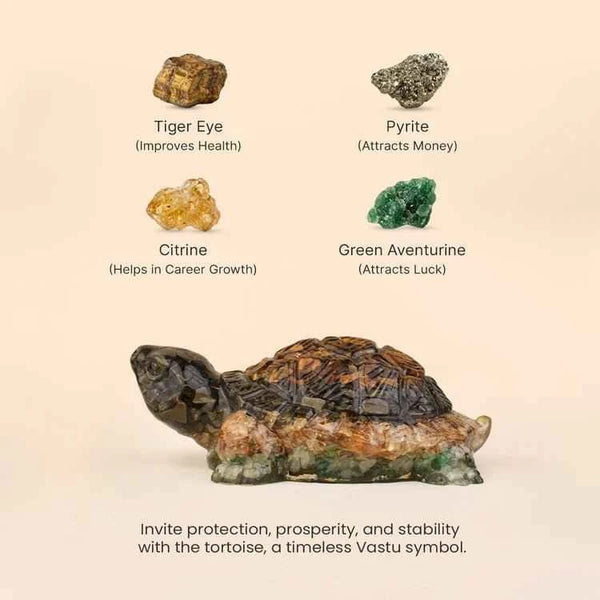 Rinmukteshwar Siddh Vastu Dhan Yog Tortoise – Energized Vastu Wealth Tortoise for Prosperity | Raso Crystal