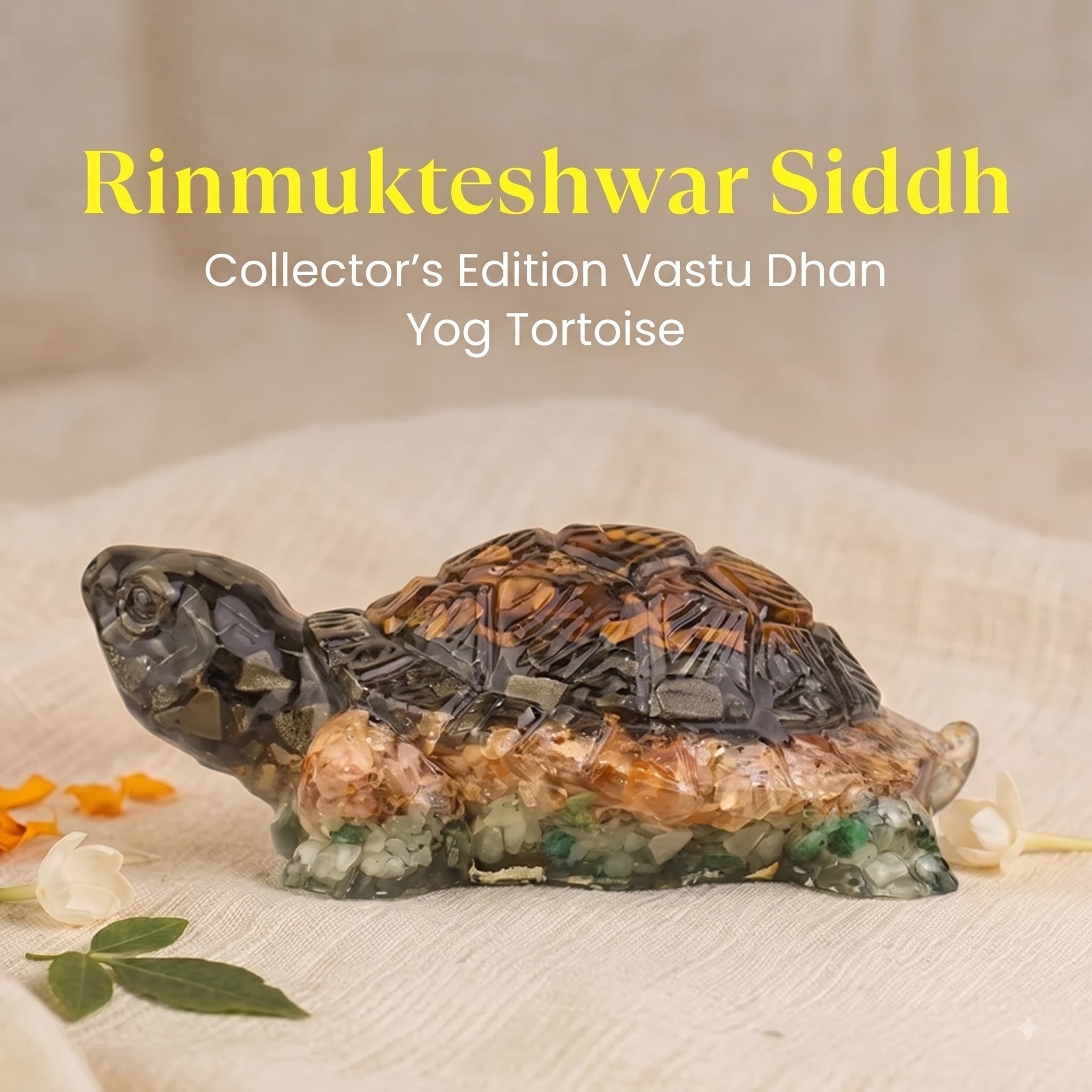 Rinmukteshwar Siddh Vastu Dhan Yog Tortoise – Energized Vastu Wealth Tortoise for Prosperity | Raso Crystal