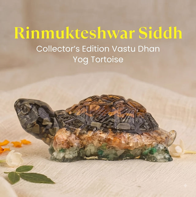 Rinmukteshwar Siddh Vastu Dhan Yog Tortoise – Energized Vastu Wealth Tortoise for Prosperity | Raso Crystal