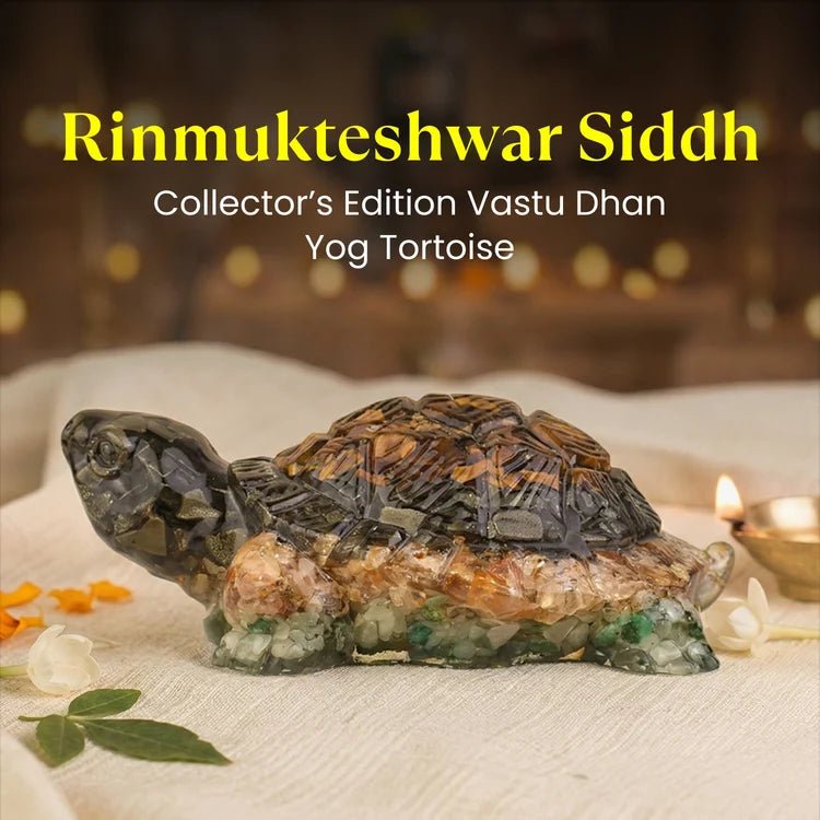 Rinmukteshwar Siddh Vastu Dhan Yog Tortoise – Energized Vastu Wealth Tortoise for Prosperity | Raso Crystal